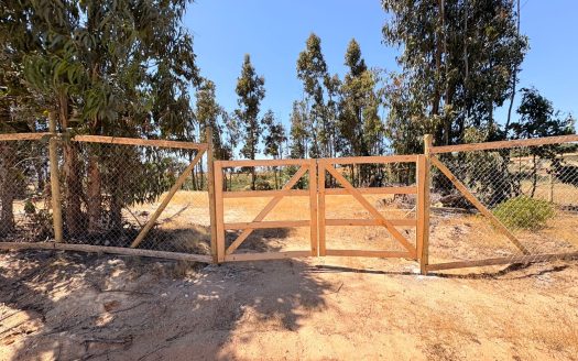 Plano y extenso terreno en Belloto Norte
